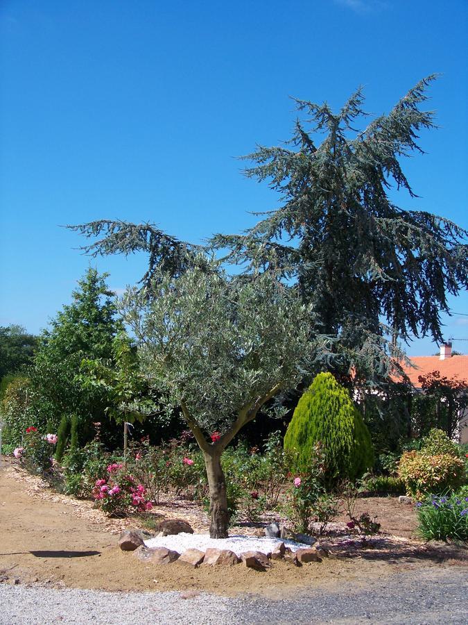 לינה וארוחת בוקר Tillieres La Genoise מראה חיצוני תמונה